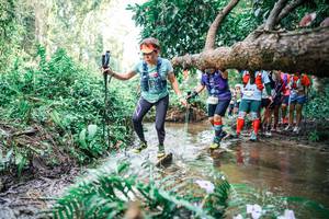 BIB: 
                            <button type="button" onclick="openModal(25515240)" class="btn btn-primary btn-sm float-right btn-popup" data-toggle="modal" data-target=".modal-high-quality">
                        <i class="fas fa-shopping-cart"></i> Add to Cart
                    </button>
                                            <button type="button" onclick="isThisMe(25515240, true)" class="btn btn-success btn-sm float-right btn-popup btn-isme hidden" data-toggle="tooltip" data-placement="bottom" title="นี่คือรูปของคุณใช่ไหม คลิกที่นี่เพื่อเอาเข้าอัลบั้ม">
                        <i class="fas fa-plus"></i> Add to album
                    </button>
                    <button type="button" onclick="isThisMe(25515240, false)" class="btn btn-warning btn-sm float-right btn-popup btn-isnotme hidden">
                        <i class="fas fa-ban"></i> Remove from album
                    </button>